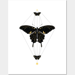 Butterfly Universe Posters and Art